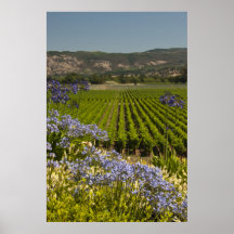 Vineyard and Purple Flowers Print