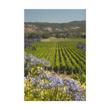 Vineyard and Purple Flowers Wrapped Canvas Print