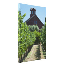 Vineyard Barn Wrapped Canvas Print