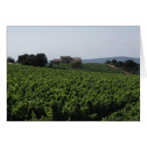 Vineyard near Avignon Cards