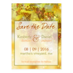 Vineyard Save the Date Postcard