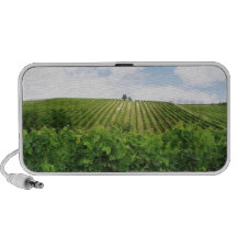 Vineyard - Vignoble (Bordeaux - France) 01 Travel Speaker