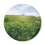 Vineyard - Vignoble magnets