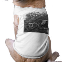Vintae Ford Auto & Tractor Sales Pet Shirt