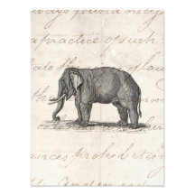 Vintage 1800s Elephant Illustration - Elephants Art Photo
