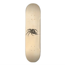 Vintage 1800s Spider Illustration Spiders Template Skateboard Deck