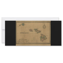 Vintage 1876 Hawaii Map -  Hawaiian Islands