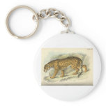 vintage 19th century jaguar illustration keychains