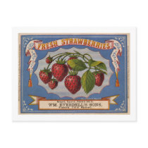 Vintage Ad for Fresh Strawberries circa 1868 Post Cards
