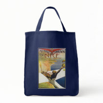 Vintage Aeroplane art:  Meeting d'Aviation Bag