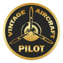VINTAGE AIRCRAFT PILOT