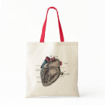 Vintage Anatomical Heart Diagram Canvas Bag