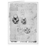 Vintage anatomy drawing of a foetus cards