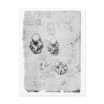 Vintage anatomy drawing of a foetus postcards