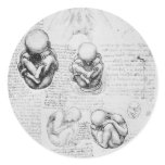 Vintage anatomy drawing of a foetus stickers