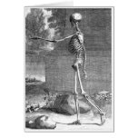 Vintage anatomy drawing, side view, skeleton cards