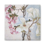 Vintage Ancient Chinese Art  Magnolias magnets