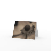 Vintage Anemone Greetings & Note Card