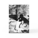 Vintage Angel ver. Black & White cards