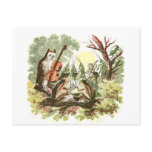 Vintage Animal Band postcards