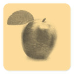 Vintage Apple Fruit Painting Art - Stickers