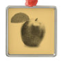 Vintage Apple Fruits Painting Art Ornaments