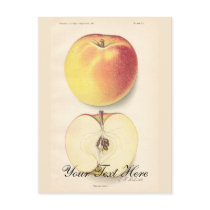 Vintage Apple Postcard