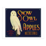 Vintage Apples Food Product Label Post Cards