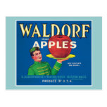 Vintage Apples Food Product Label Post Cards