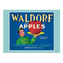 Vintage Apples Food Product Label postcards