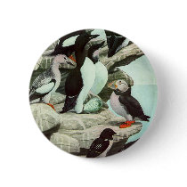 Vintage Aquatic Birds; Puffins Pin