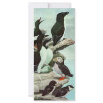 Vintage Aquatic Birds; Puffins Rack Card Template