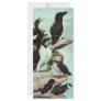 Vintage Aquatic Birds; Puffins Rack Card Template