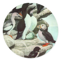 Vintage Aquatic Birds; Puffins Round Stickers
