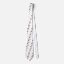 Vintage Argentina Custom Ties