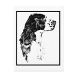 Vintage Art English Springer Spaniel Postcard