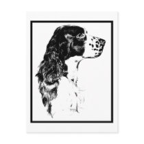 Vintage Art English Springer Spaniel Postcard