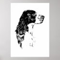 Vintage Art English Springer Spaniel Poster Print