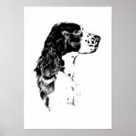 Vintage Art English Springer Spaniel Poster Print