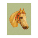 Vintage Art Horse Head Drawing Postcard