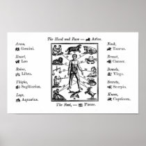 Vintage Astrology Chart Art Print Poster