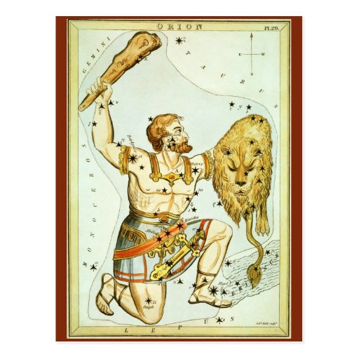 Vintage Astronomy, Celestial, Orion Constellation Post Card
