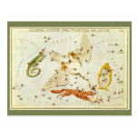 Vintage Astronomy, Star Chart, Constellations Map Postcards
