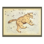 Vintage Astronomy, Ursa Major Constellation, Bear Postcard