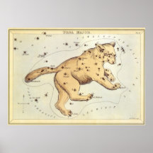 Vintage Astronomy, Ursa Major Constellation, Bear Posters