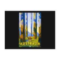 Vintage Australia Marysville Victoria Post Card