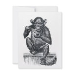 Vintage Baby Chimpanzee Drawing Announcement