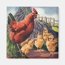 Vintage Backyard Chicken with Baby Chicks on Farm Fridge Magnets