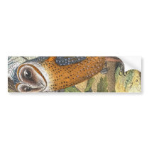 Vintage Barn Owl Painting bumper stickers