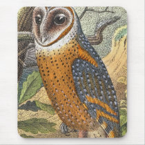 Vintage Barn Owl Painting mousepads